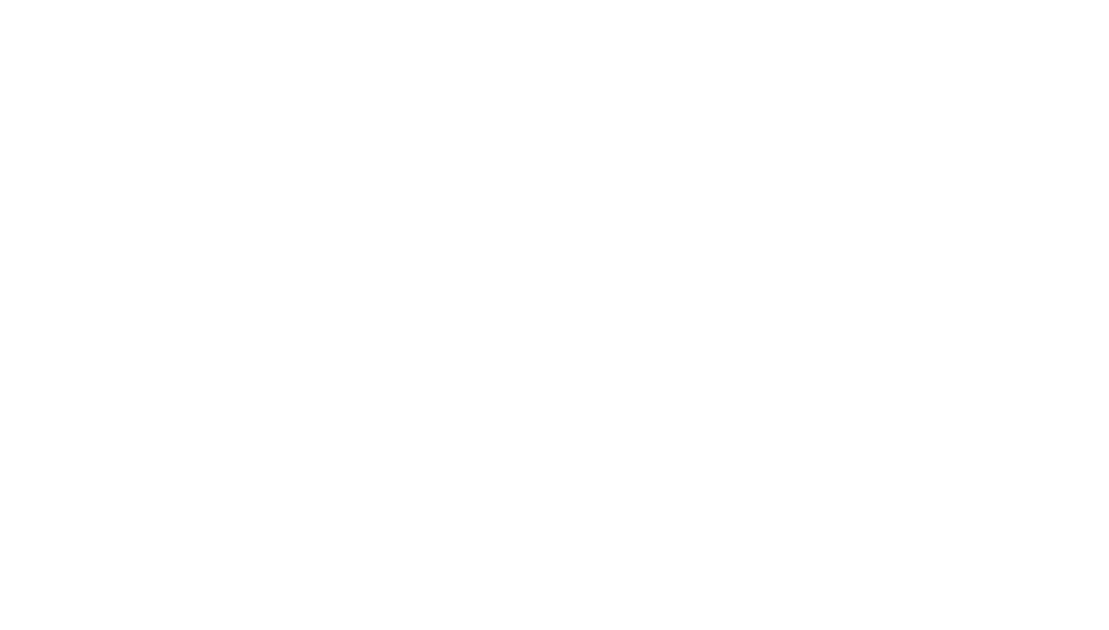 FinFly